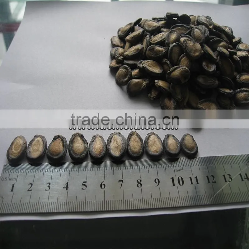 Grade A Snacks Black Watermelon Seed
