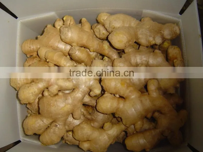 Chinese fresh ginger