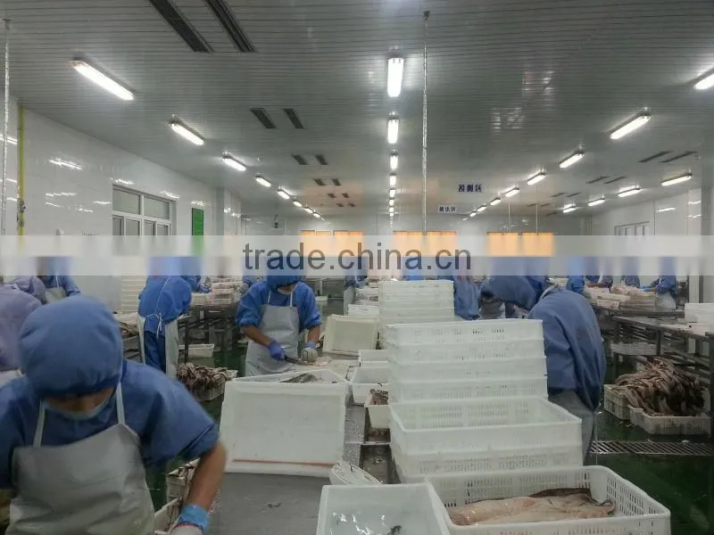 Hign Quality dry salted cod fillet