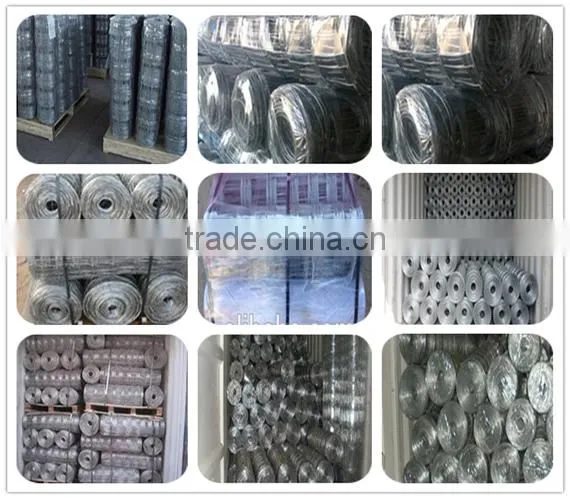 Anping Deming produce crosslock knot Field fence