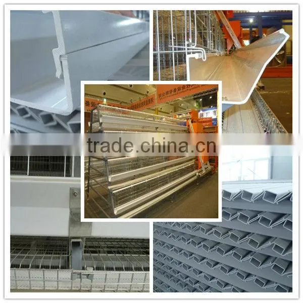 layer chicken poultry house