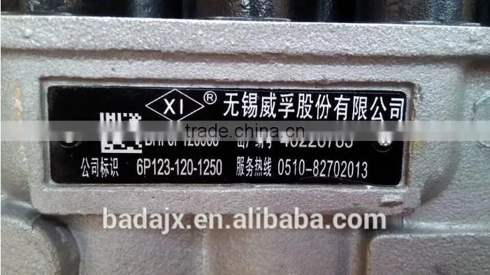 WUXI WEIFU Fuel Injection Pump BHF6P120005 6P123-120-1250