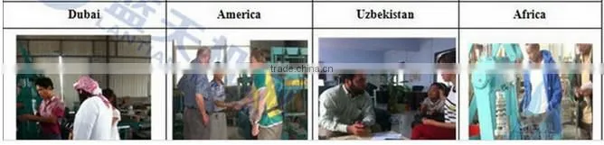 Lantian series of fully Automatic concrete brick making machine
