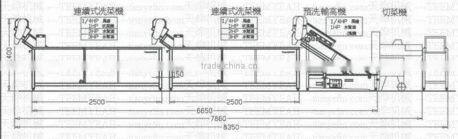 TW-307L automatical leafy vegetable washer (Video)