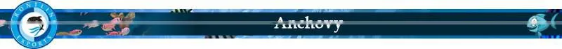 High Grade Export Quality Dried Anchovy Fish for Wholesale Buyers