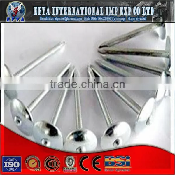 steel nail