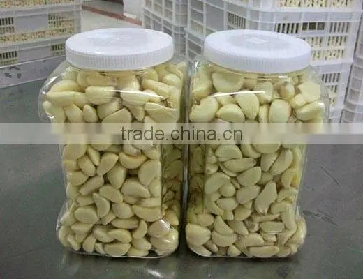 Jinxiang peeled garlic China cheap peeled garlic for sale new crop garlic