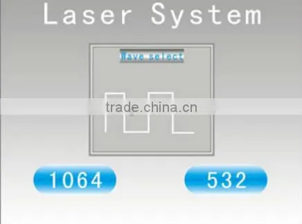 Long pulsed ND YAG laser for tattoo removal