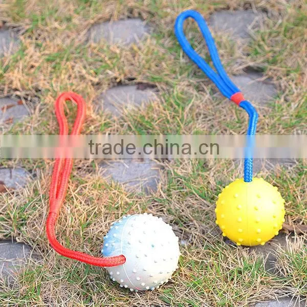 2014 New Natural Rope Education Led Dog Toys