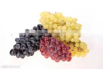 Wine making frist step:grape crushing machine