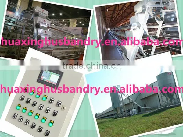 chicken broiler /cock cage with automatic poultry equipment