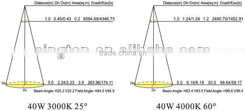 high cri citizen 40w 3years warranty Double head white led pendant light with CE RoHS certification