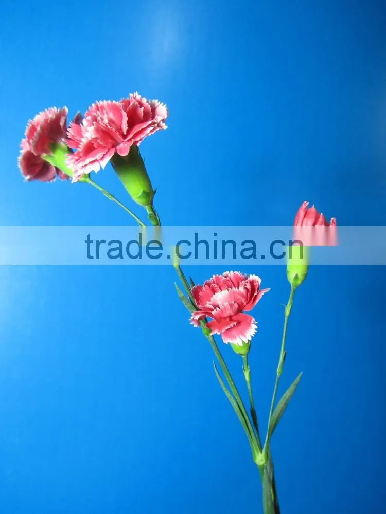 Alibaba china factory direct garden bridal carnation decor