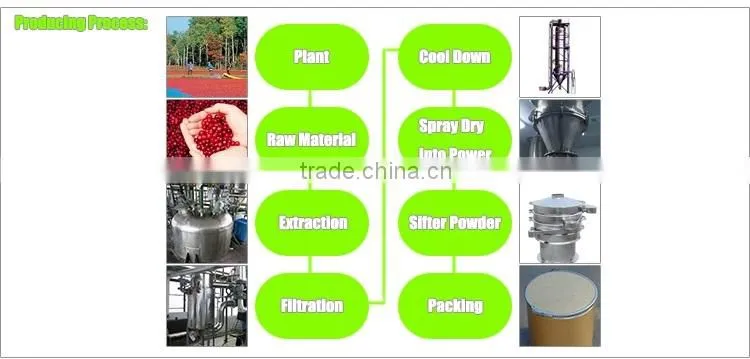 Natural Soybean Extract Isoflavones 10%-80% Glycine max(L.) Merr.