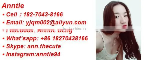 Themes Water Park inflatable pizza pool tube float