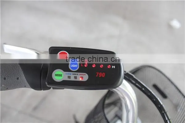 2015 Electric City Bike 250w LMTDF-19L