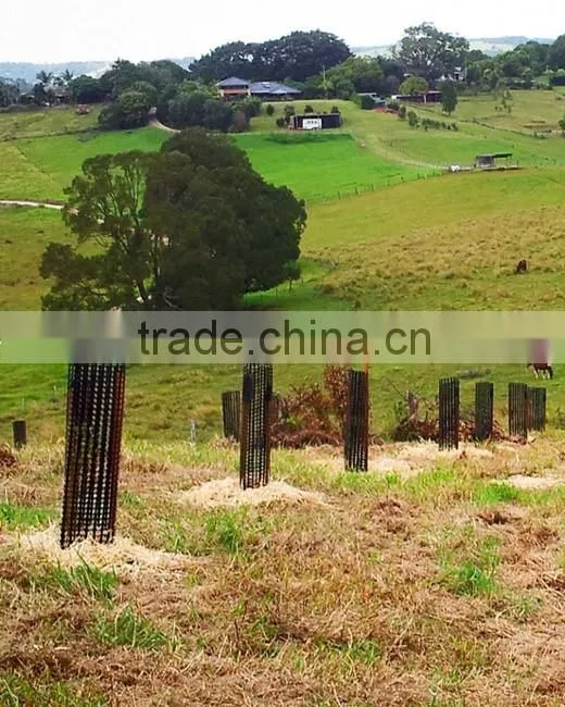 Extruded Plastic mesh tree guard for young plant