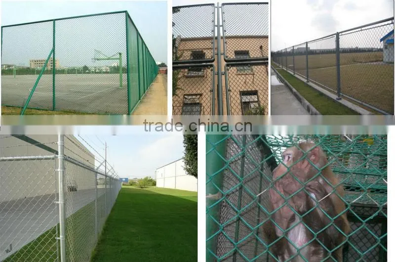 Top sell Wire fence with barbed wires