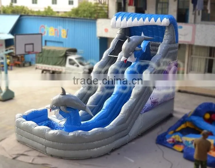 Magical sea wave inflatable water slide wih pool, commercial inflatable dolphin water slide