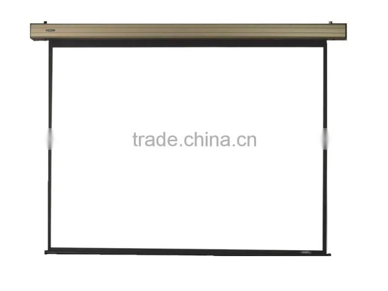 Electric projection screen with matte white from OEM