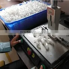 Weihai Longyuan Fishing Tackle Co., Ltd. company overview - view 2