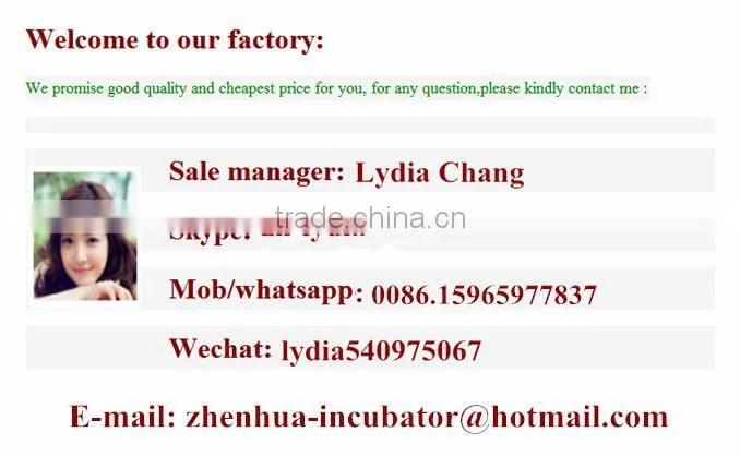 fully automatic egg incubator/egg turning motor/egg turning system/egg turner/motor for incubator (whatsapp : +86 159 6597 7837)