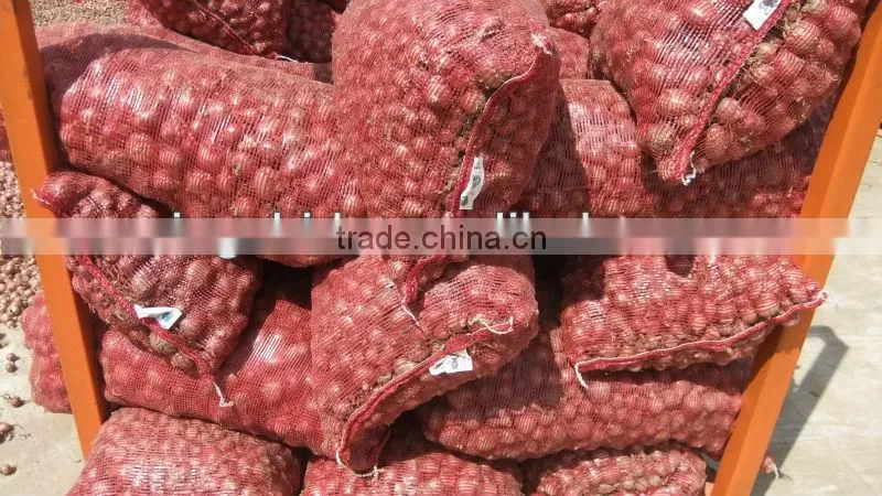 fresh onion prices in china