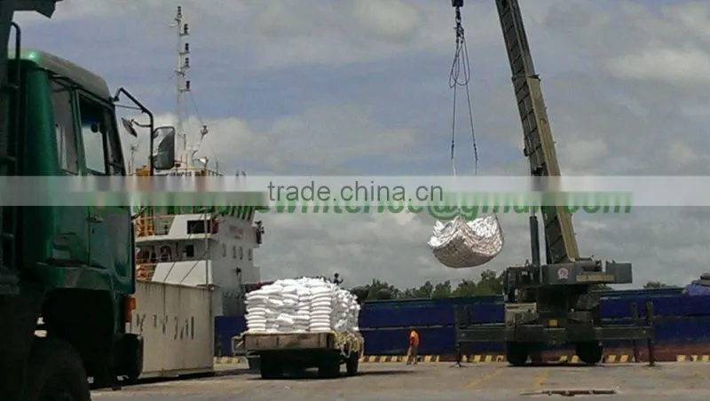 JAPONICA ROUND RICE HIGH QUALITY - 2016 NEW CROP