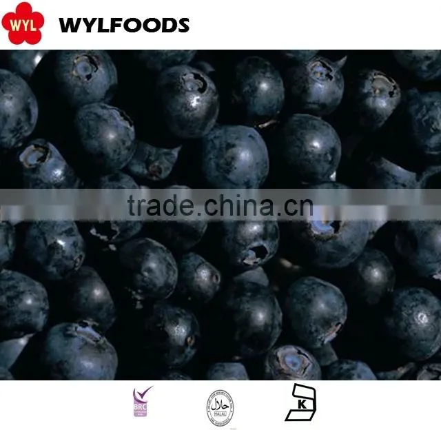 IQF frozen blueberry high quality hot sales