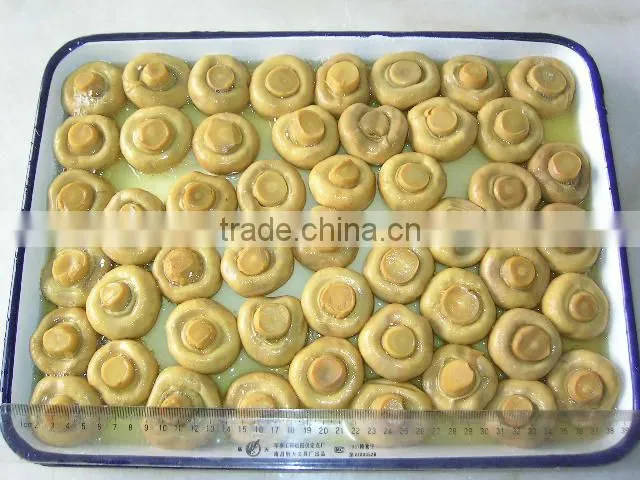 Canned Mushrooms Pieces&Stems