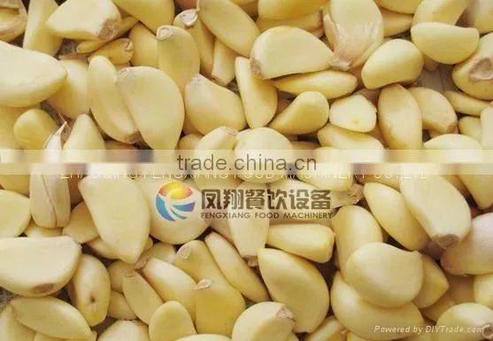FX-128-2 Hot Sale Large Capacity Garlic Peeling Peeler Machine