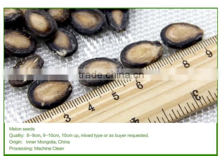 High quality watermelon seeds in shell