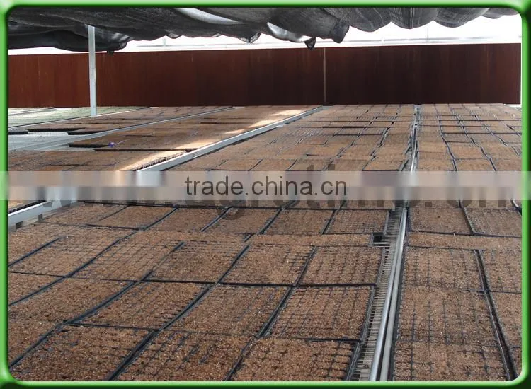 Design Benching System for seeds growth For agriculture