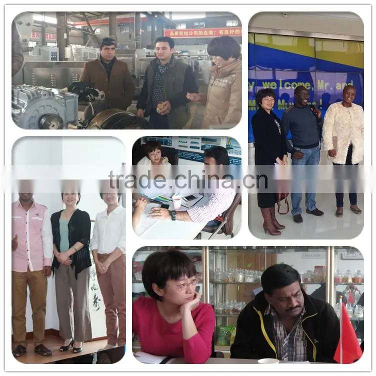 CE ISO new pet food production line dog food production line