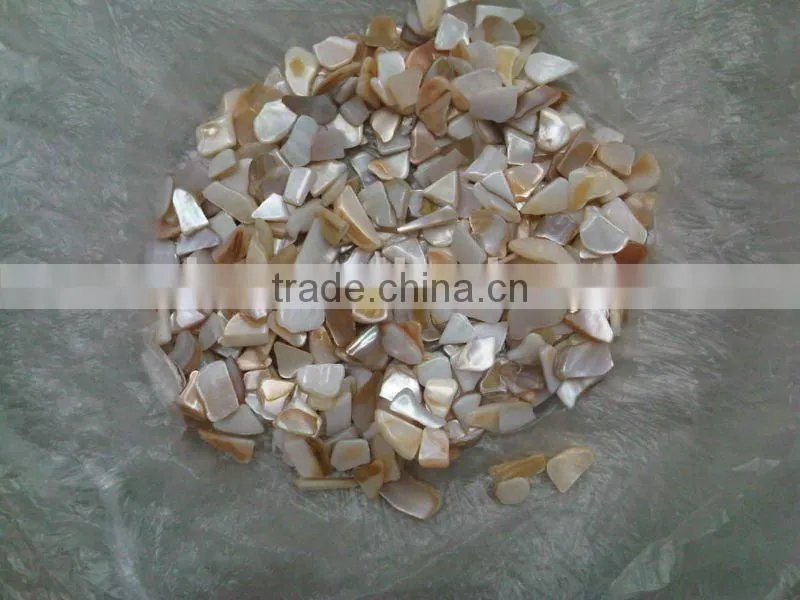 cutted shell chips for making craftworks