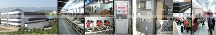 New Style Gasoline Robin Engine for Sale