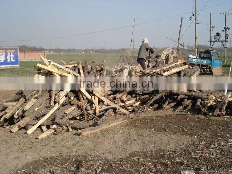 China specialized Wood Pellet Mill