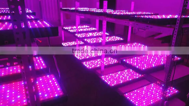High efficiency Veg Bloom Switchable Gaea1200w LED Grow Light