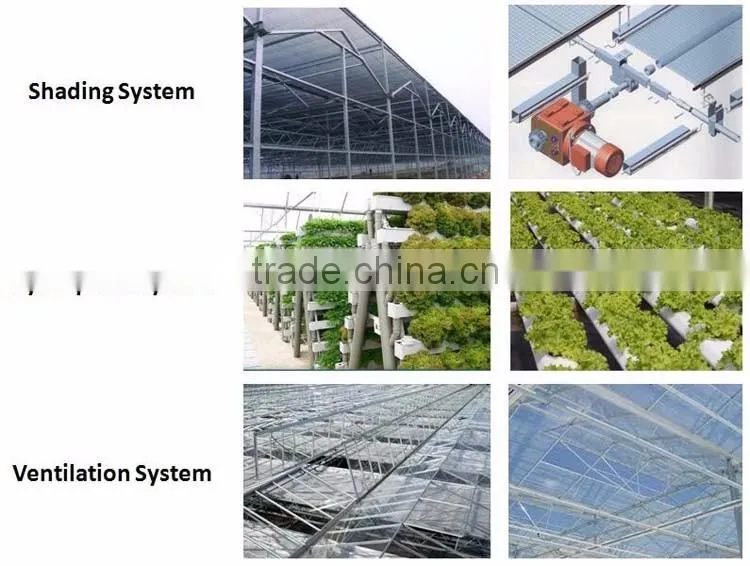 Commercial Greenhouse,Industrial Greenhouse,Agricultural Greenhouse