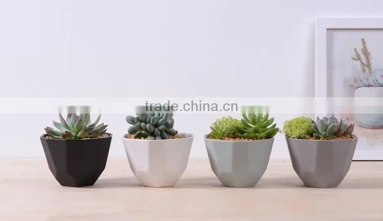 2016 new design irregular ceramic succulent planter