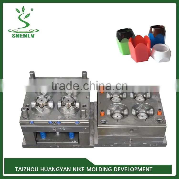 High quality customized professional abs injection molds