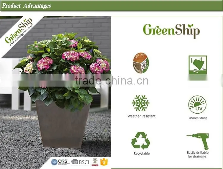 flower pot Garden ornamental type Pot/20 years