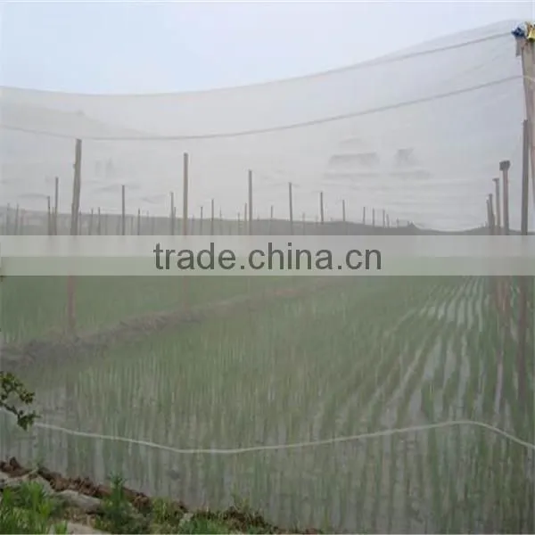 white Plastic fly net insect screen