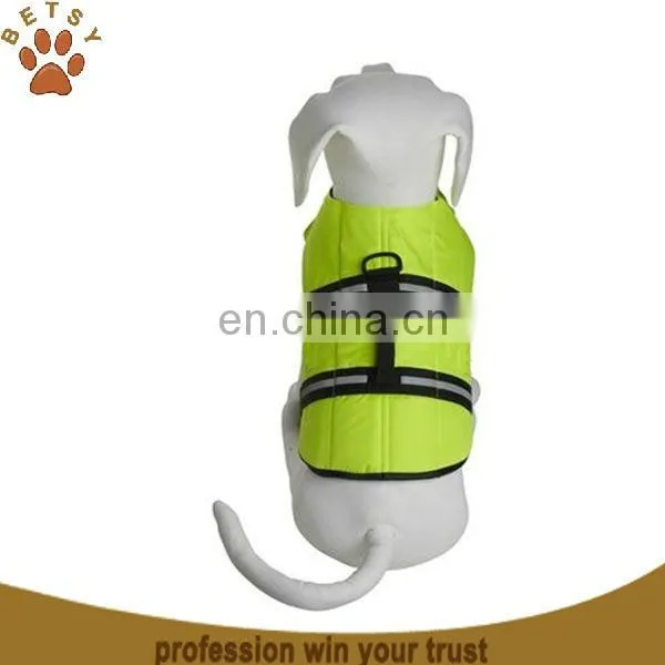 pet safety