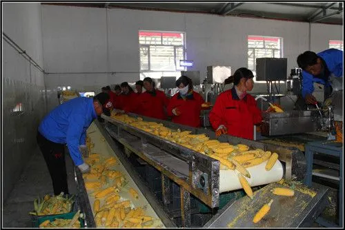Automatic Canned Sweet Corn Industry Process/produce Line