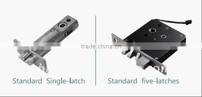 Double Bolt Security Door Lock