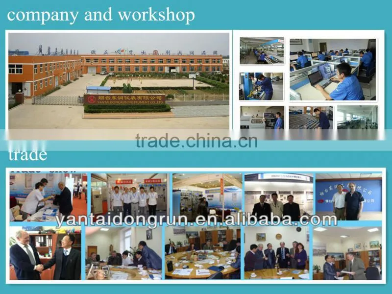 papermaking usage WZ series digital temperature controller