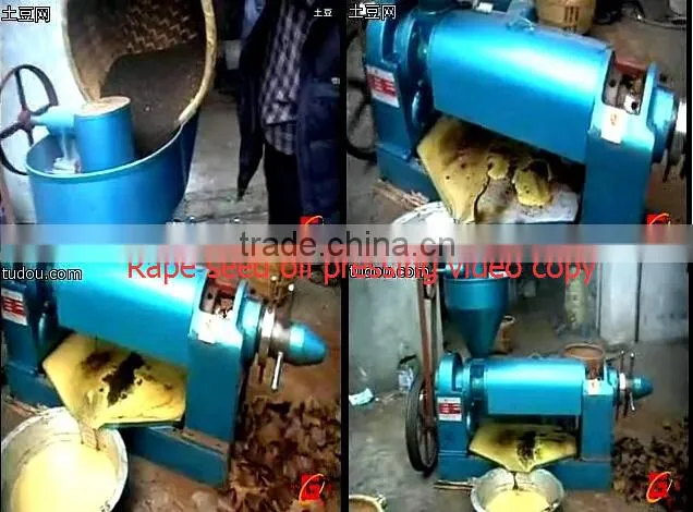 New condition multi oil press machine pressing oil more than 30kinds of seed YZYX10-4 oil machine 3tons/day