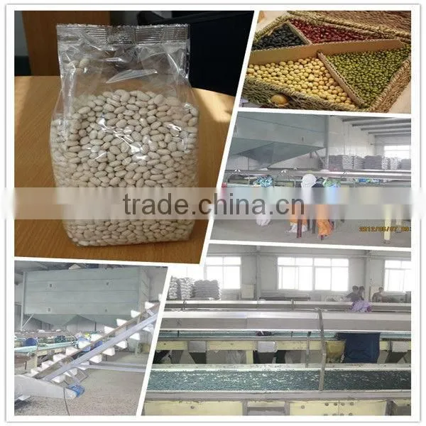 High Quality 24/64 Sunflower Seeds