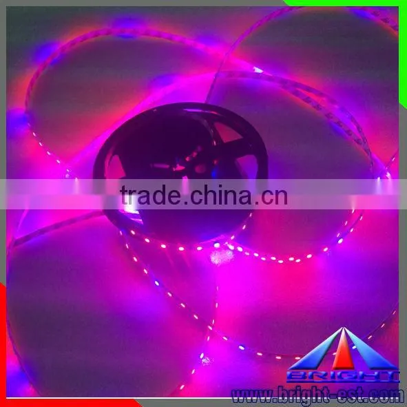 Red and Blue Color Grow Light Flexible Led SMD 5050